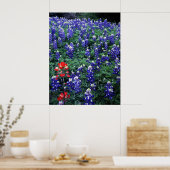 Poster Texas Bluebonnets et pinceau indien (Cuisine)