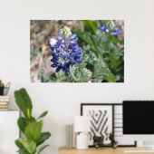 Poster Texas Bluebonnets série photo #8 (Bureau à domicile)