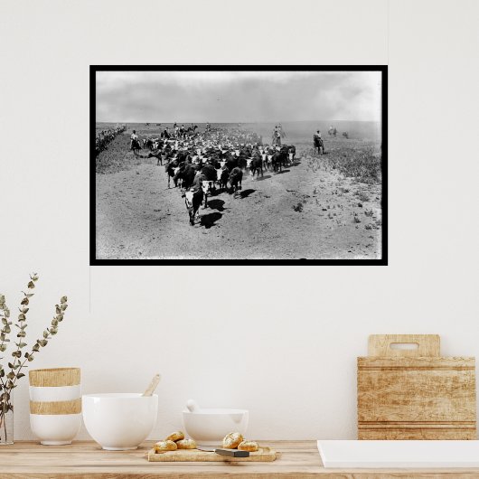Poster Texas Cattle Drive (Cuisine)