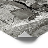 POSTER TEXAS CHUCK WAGON 1901 (Coin)