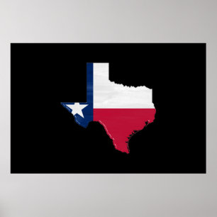 Poster Texas flag and