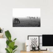 Poster Texas Fog (Bureau à domicile)