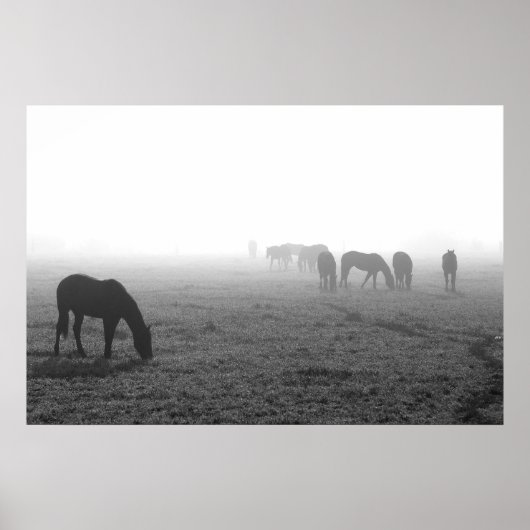 Poster Texas Fog (Devant)