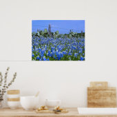 Poster Texas Hill Country Bluebonnets/Cactus Art (Cuisine)