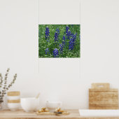 Poster Texas, Lac Buchanan. Texas Bluebonnet et Wild (Cuisine)