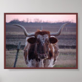 Poster Texas Longhorn (Devant)