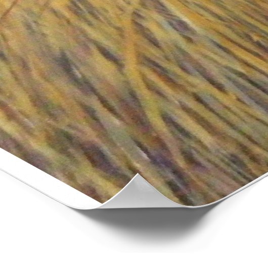 Poster Texas Longhorn (Coin)