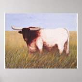 Poster Texas Longhorn (Devant)