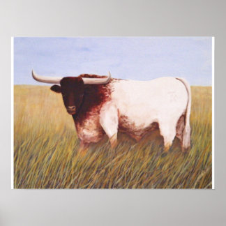Poster Texas Longhorn