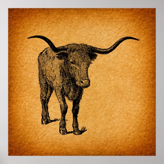 Poster Texas Longhorn Bull Rustic Vintage Western (Devant)