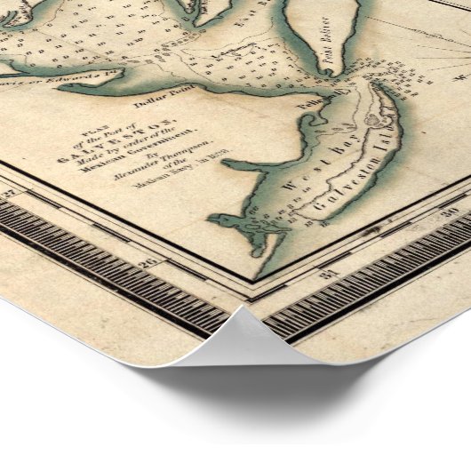 Poster Texas, Par David H Burr (Coin)