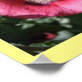 Poster Texas Pink Skullcap Imprimer II (Coin)