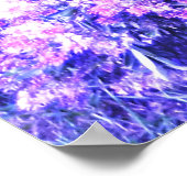 POSTER TEXAS SAGE  (Coin)