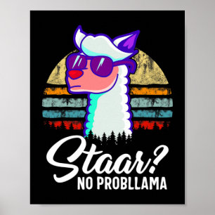 Poster Texas State Test Day Llama Alpaca pour les étudian