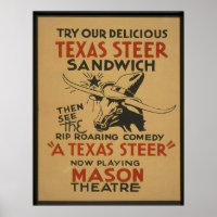 Texas Steer