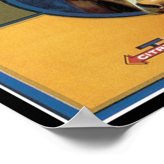 Poster Texas Steer Longhorn (Coin)