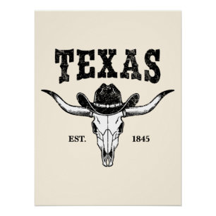 Poster Texas vintage