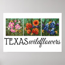 poster "Texas Wildflower" 16,5 x 11 inch