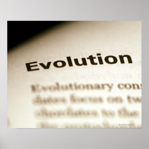 Poster Texte d'évolution à la page