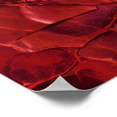 Poster Textes, Cracks, Vains en rouge profond (Coin)