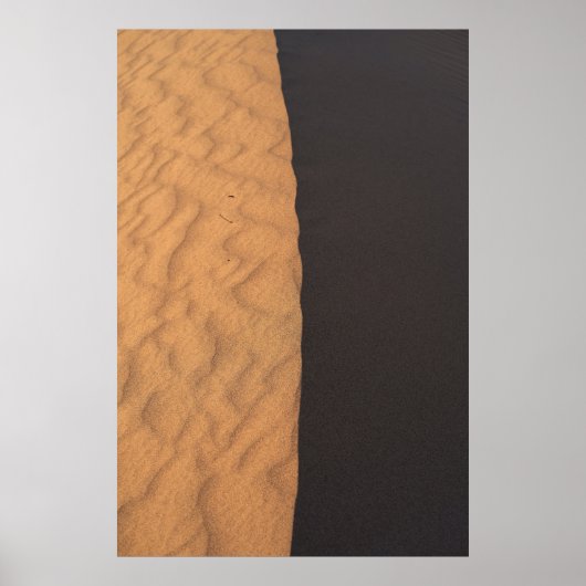 Poster textile floral noir et blanc (Devant)