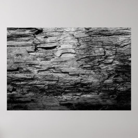 Poster Texture bois noir et blanc (Devant)