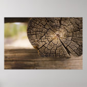 Poster Texture Cabine ancienne (Devant)