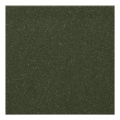 Poster Texture de Bruit de la Mousse Verte Impression sur (Devant)