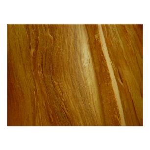 Poster Texture de faux bois de pin II