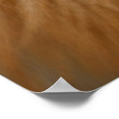 Poster Texture de fourrure de renard rouge (Coin)