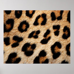 Poster Texture de la peau d'animal nature, peau, motif, a