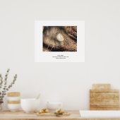 Poster Texture de l'écorce d'arbre Grand trou (Cuisine)