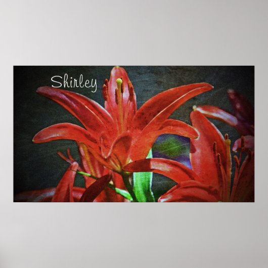 Poster Texture de Lily-rouge par Shirley Taylor (Devant)