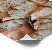 Poster Texture de peinture d'épluchage (Coin)