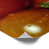 Poster Texture de tomates de cerise douce (Coin)