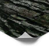 Poster texture d'écorce d'arbre (Coin)