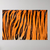 Poster Texture d'impression de tigre (Devant)