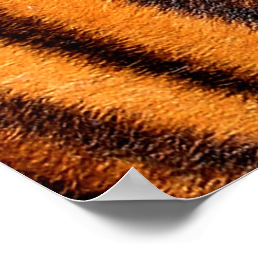 Poster Texture d'impression de tigre (Coin)