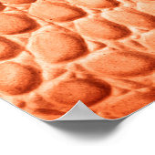 Poster Texture en cuir de crocodile brun clair (Coin)