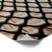 Poster texture en cuir de peau texture de fond, crocodile (Coin)