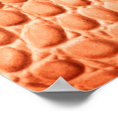 Poster Texture en cuir de reptile orange (Coin)