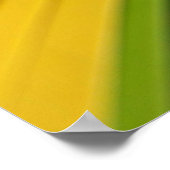 Poster texture motif arc-en-ciel Abstraite (Coin)