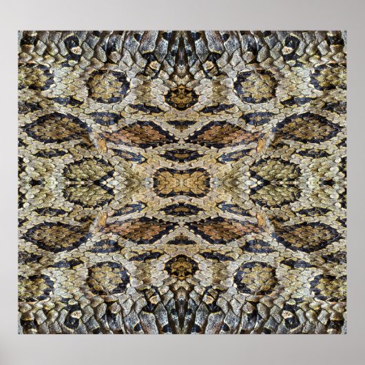 Poster Texture Motif de la peau de serpent (Devant)