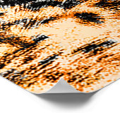 Poster Texture peau léopard, motif léopard (Coin)
