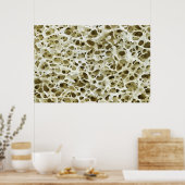 Poster Texture poreuse magnétisée de l'os hanche humain (Cuisine)