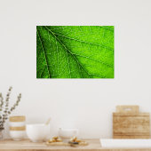 Poster texture verte des feuilles (Cuisine)