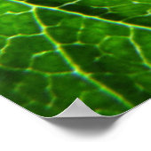Poster texture verte des feuilles (Coin)