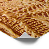 Poster textures en dentelle (Coin)