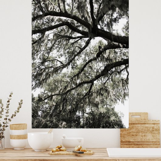 Poster Textures Mossy 1 (Cuisine)