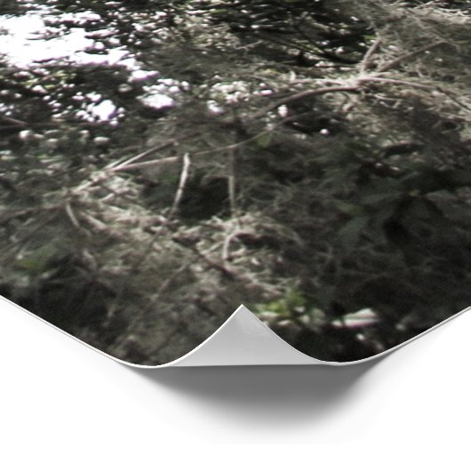 Poster Textures Mossy 1 (Coin)